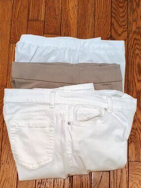 Petite Pants BUNDLE: Gloria Vanderbilt, Kim Rogers, Alfred Dunner (14P/12P)